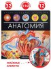Энциклопедия для детей "Анатомия" книжка-панорамка, 794-1