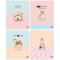 Тетрадь 48л линия BG "пора поумнеть 10013  1/4/56