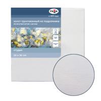 Холст на подрамнике 25х35 Гамма хлопок мелкое зерно 060220203