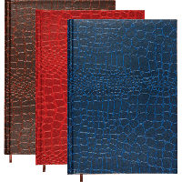 Книга д\зап А5 Attomex, "Arkona", 80л, бумвинил с порол., ляссе, 2051521 