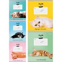 Тетрадь 12л. косая линия Проф котики фразы 5774 1\250