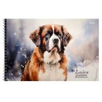 Альбом для рис. 40л гребень Проф "сенбернар 2320 1/20