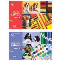 Альбом для рис. 40л ArtSpace "стиль школьный 44492