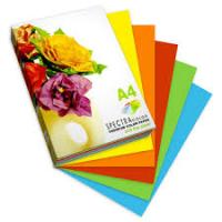 Бумага офисная А4 500л 5цв яркие цвета Devente 2072707 1/5