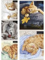 Тетрадь 48л Проф "котята и пледы 1908 1\80