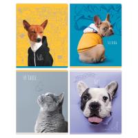 Тетрадь 96л BG "Гав мяу 62336, твой стиль 1/32