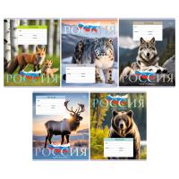 Тетрадь 18л клетка BG "Патриотизм" 12042 мел.карт.обл 1/200