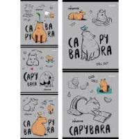 Тетрадь 48л Проф "капибара 2551, 2309 1\100