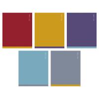 Тетрадь 48л Хатбер пластик обл "Proстиль"  