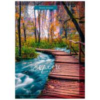 Книга д\зап А5 64л Проф "весна 64-0374 1/20