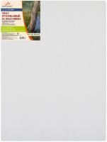 Холст на подрамнике 50х70 Devente 8150417, Сонет 06023 мелкое зерно хлопок 