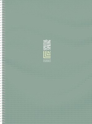 Книга д\зап А4 160л Хатбер гребень 33399 Special Spring 1/12