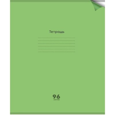 Тетрадь 96л Проф пластик обл. зеленая Неон 1370, классика 1433 1/50